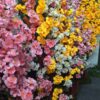 Artificial cherry flower tree - Image 3