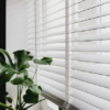 Sun Screen Roller Blinds
