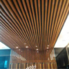 WPC Ceiling Clip