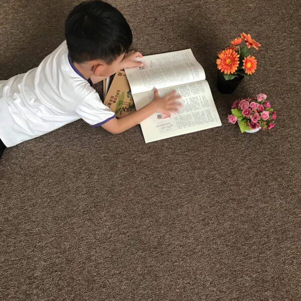 roll flooring carpet