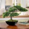 Artificial Bonsai tree